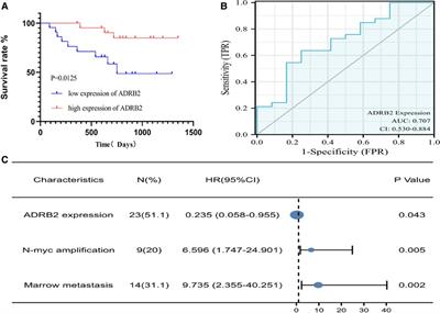 Frontiers | Expression of ADRB2 in children with neuroblastoma and its ...