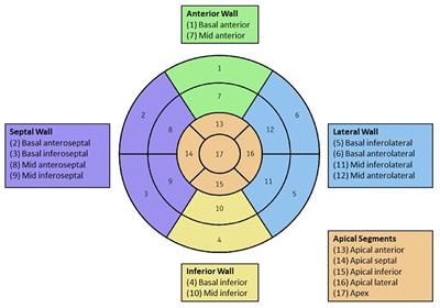 Frontiers  Prognostic Significance of Feature-Tracking Right Ventricular Global  Longitudinal Strain in Non-ischemic Dilated Cardiomyopathy