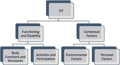 Frontiers  Neuropsychological Assessments of Patients With