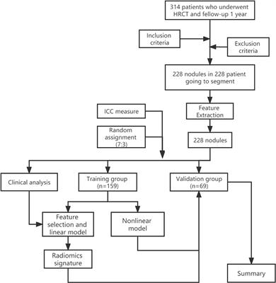 Frontiers | Prediction of single pulmonary nodule growth by CT ...