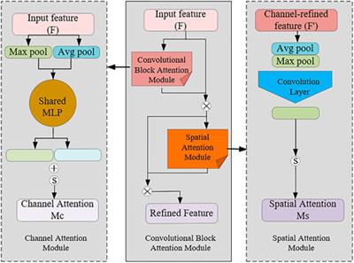 Frontiers | Automatic detection of sow posture and estrus based on ...