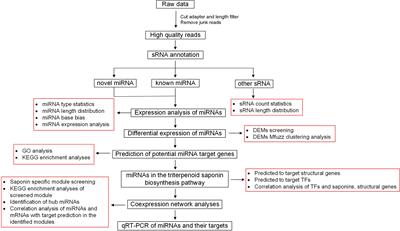 Frontiers | Integrative analysis of microRNAs and mRNAs reveals the ...