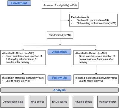 Frontiers  Post-partum depression: From clinical understanding to  preclinical assessments