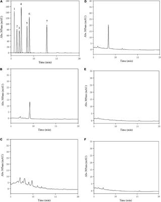 Frontiers | Isolation and characterization of a novel human intestinal ...