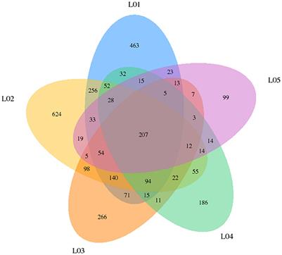 Frontiers | Identification and analysis of differentially expressed (DE ...