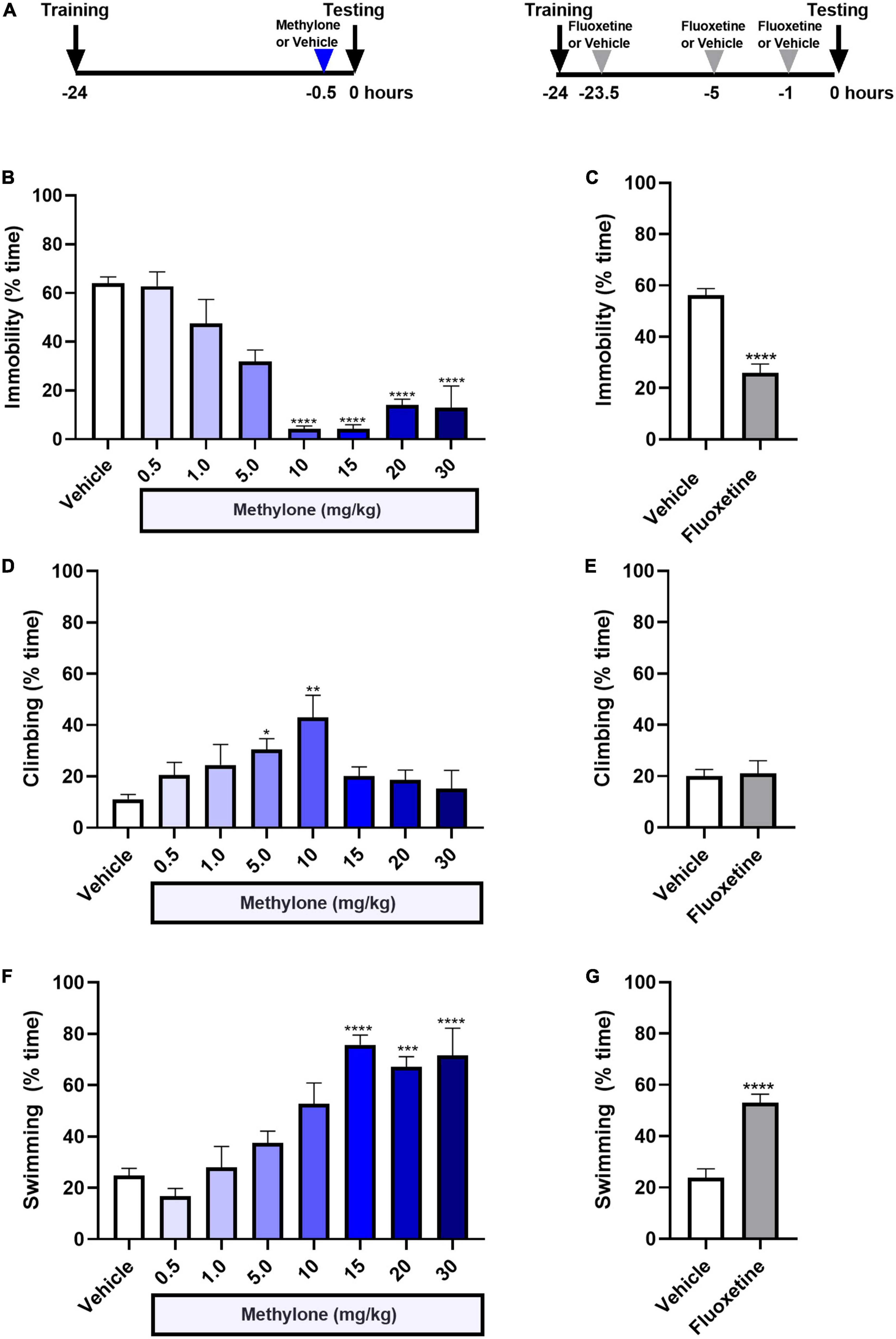 Frontiers  Methylone, a rapid acting entactogen with robust