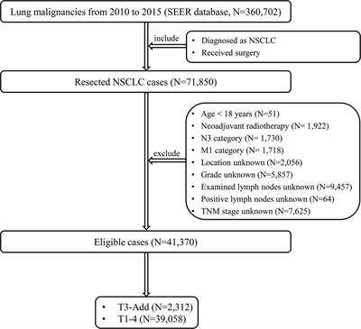 Frontiers | Reconsidering the T category for the T3 non-small cell lung ...