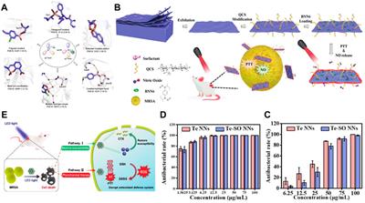 Frontiers | Inorganic nanomaterials for intelligent photothermal ...