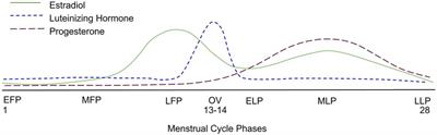 The Menstrual Cycle: What's normal and what's not • Ignite Athlete