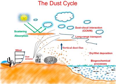 ACP - Complex refractive indices and single-scattering albedo of global  dust aerosols in the shortwave spectrum and relationship to size and iron  content