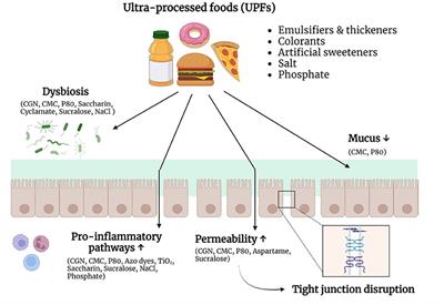 Red Food Dye Linked to Inflammatory Bowel Disease (IBD)