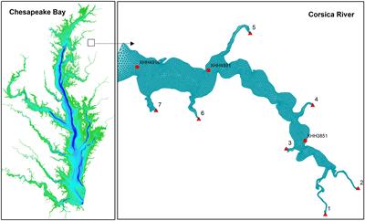 Frontiers | Simulation of high-frequency dissolved oxygen dynamics in a ...