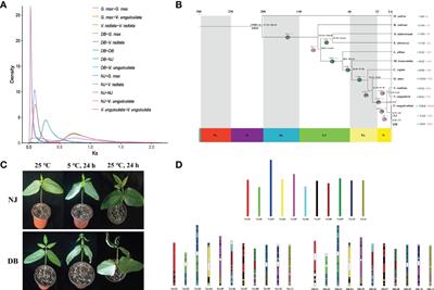 Frontiers | Genome and pan-genome assembly of asparagus bean (Vigna ...