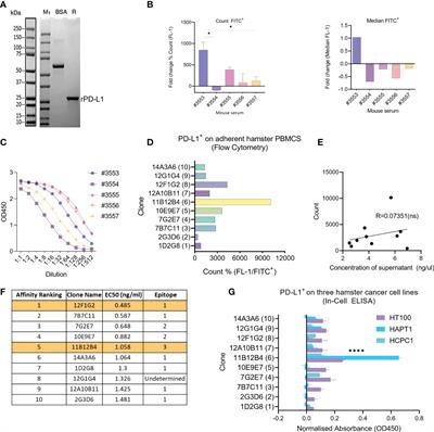 Age-specific survival curves for male and female Syrian hamsters of the