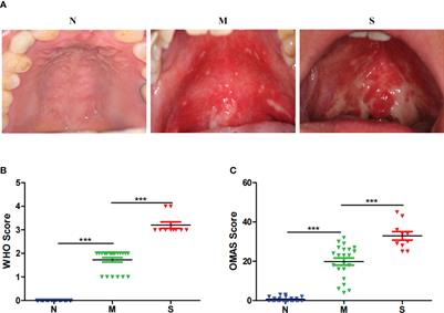 Frontiers  Distinctive microbiota of delayed healing of oral