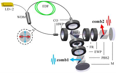 Frontiers | Polarization-multiplexed dual-comb fiber laser based on an ...