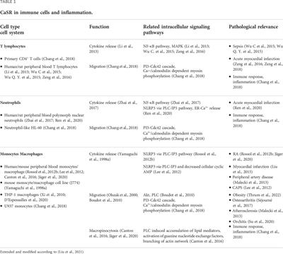 Frontiers | Calcium-sensing receptor-mediated NLRP3 inflammasome ...