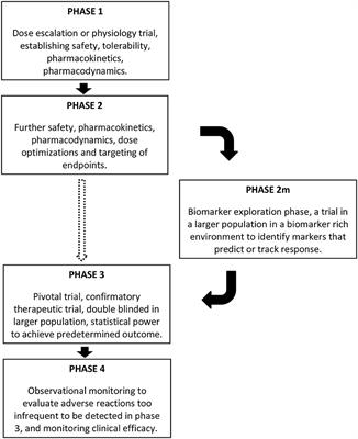 Frontiers | Editorial: Precision medicine approaches for heterogeneous ...