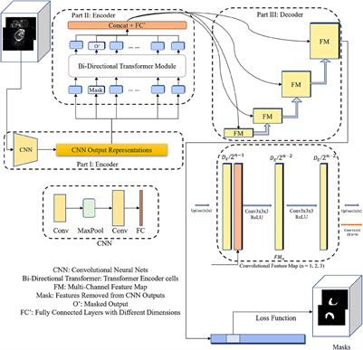 Frontiers | 3D bi-directional transformer U-Net for medical image ...