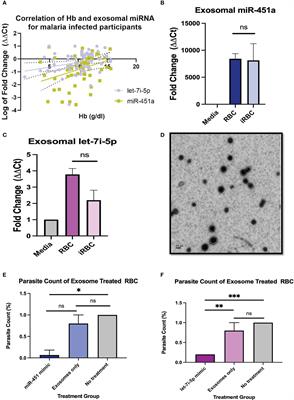 Frontiers | MiR-451a and let-7i-5p loaded extracellular vesicles ...