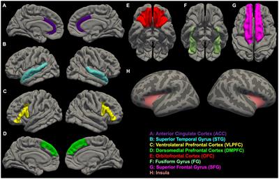 Frontiers | Neuroimaging alterations of the suicidal brain and its ...