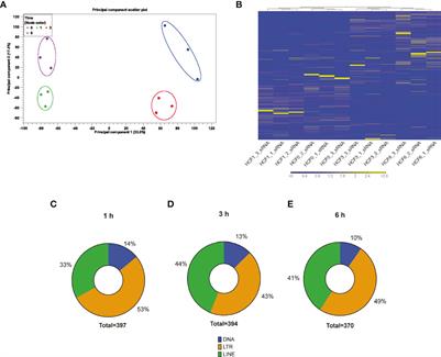 Frontiers  Comparative microRNA profiling of Trypanosoma cruzi infected  human cells