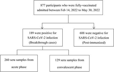 Frontiers | Kinetics of SARS-CoV-2 neutralizing antibodies in Omicron ...