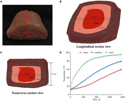 Sous-Vide Cooking Increases Beef Protein Digestibility, New Study