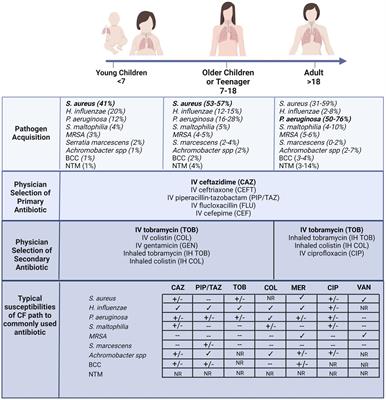 Frontiers | Pulmonary bacteriophage and cystic fibrosis airway mucus ...