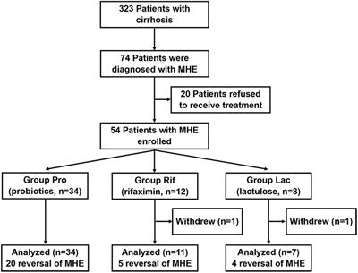 Frontiers | Comparison of the effects of probiotics, rifaximin, and ...