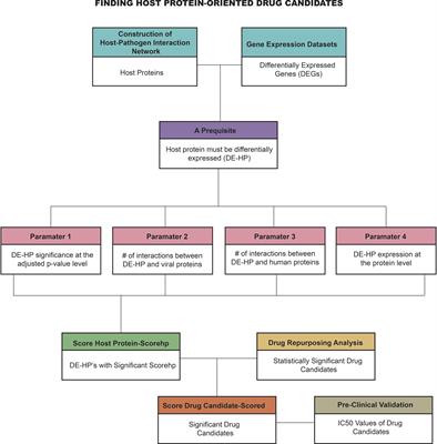 Frontiers | Drug repositioning via host-pathogen protein-protein ...