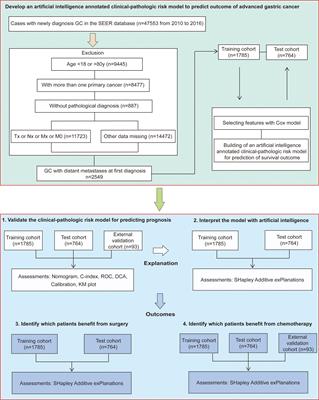 Frontiers | Artificial intelligence annotated clinical-pathologic risk ...