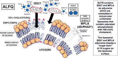 Frontiers | Similarities and differences of chemical compositions and ...