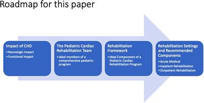 The 4 Stages of Complete Rehabilitation – Morley Physiotherapy