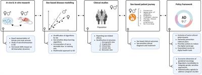 Frontiers - Sex and gender considerations in Alzheimer