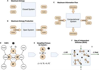 Frontiers  Detecting and measuring of GPCR signaling – comparison