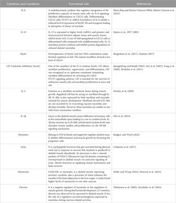 Frontiers | Cell-based meat: The molecular aspect