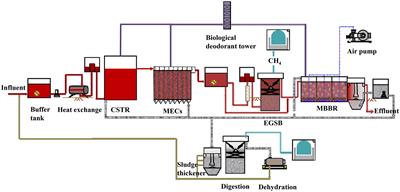 Frontiers | Study on the removal characteristics and degradation ...