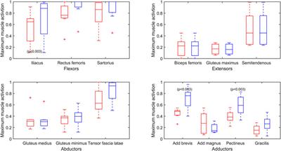 Strategies for Gait Retraining in a Collegiate Runner with Transfemoral  Amputation: A Case Report