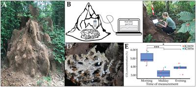 Frontiers | Make the environment protect you from disease: elevated CO2 ...