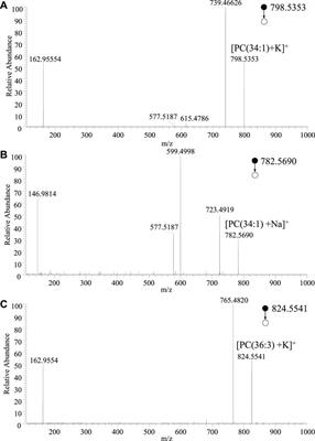 Frontiers | Direct mass spectrometry analysis of biological tissue for ...