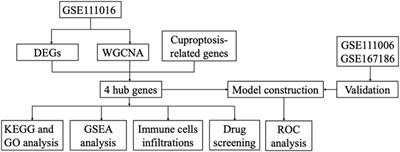 Journal Articles - TAY Hub