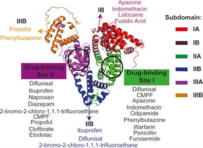 Frontiers | Research progress on albumin-based hydrogels: Properties ...