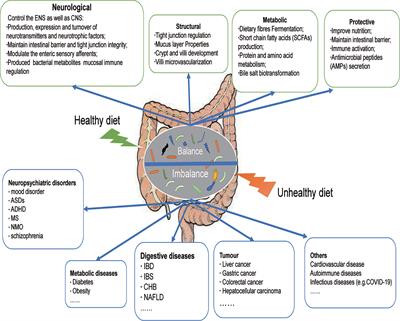 Frontiers | Diet-gut microbial interactions influence cancer immunotherapy