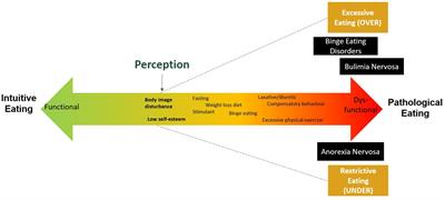 Muscle dysmorphia and associated psychological features of males in the  Middle East: A systematic review - ScienceDirect