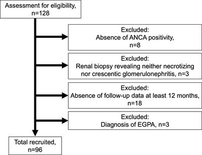 Frontiers | Evaluation of a renal risk score for Japanese patients with ...