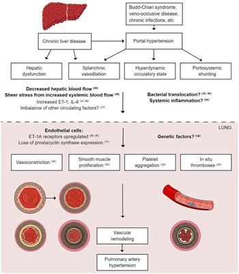 Frontiers | Current clinical understanding and effectiveness of ...