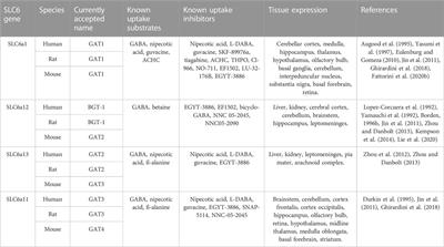 A comparative review on the well-studied GAT1 and the understudied BGT-1 in  the brain - Frontiers