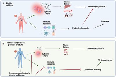 Frontiers | Emerging viral infections in immunocompromised patients: A ...