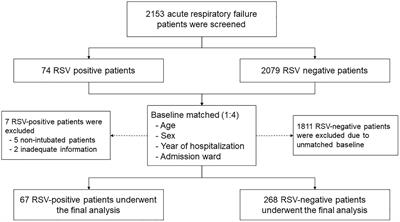 Frontiers | Predictive factors and outcomes of respiratory syncytial ...